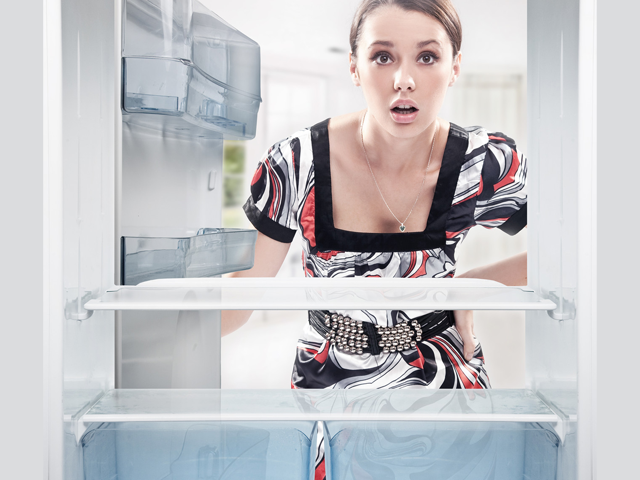 Troubleshooting Refrigerator Problems